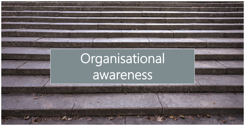 Principle-based leadership® – Organisational awareness
